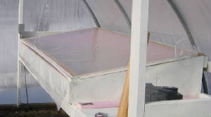 propagator4.jpg